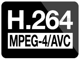 H264 logo